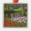 Pesquisar por europeu ornamentos Holandês