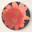 Pesquisar por estufas porta copos Flor