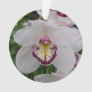 Pesquisar por orquídeas brancas ornamentos Branco