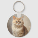 Pesquisar por exóticos chaveiros Para todos