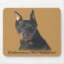 Pesquisar por filhote cachorro pinscher doberman Cães