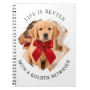 Pesquisar por golden retriever cadernos de notas Foto