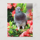 Pesquisar por porte postal da pomba Pombo