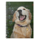 Pesquisar por golden retriever cadernos de notas Ouro