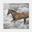 Pesquisar por atividade imas Animal