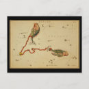 Pesquisar por astrologia cartoes postais Peixes