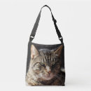 Pesquisar por gato malhado bolsas Felino