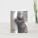 Pesquisar por abraço de urso cartoes Ursos