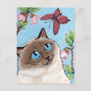 Pesquisar por pintura gato cartoes postais Borboleta