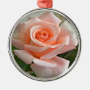 Pesquisar por florescência ornamentos Rosa