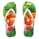 Pesquisar por tomates calçados Legumes