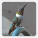 Pesquisar por colibri adesivos Jardim