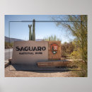 Pesquisar por cactos pôsteres pósteres Parque nacional saguaro