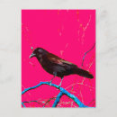 Pesquisar por rosa quente e preto cartoes postais Qualquer pessoa