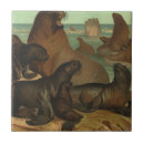 Pesquisar por animal azulejos Retrô