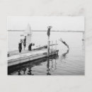 Pesquisar por de mergulho cartoes postais Natação