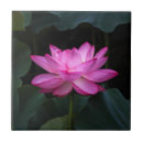 Pesquisar por flor lotus de azulejos Floral
