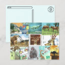 Pesquisar por postcrossing cartoes postais Postagem