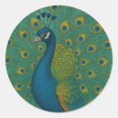 Pesquisar por peacock adesivos Pena