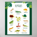 Pesquisar por répteis pôsteres pósteres Para crianças