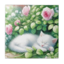 Pesquisar por com caixa de azulejos Rosa