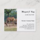 Pesquisar por zoo cartao de visita Selvagem
