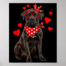 Pesquisar por cane corso pôsteres pósteres Amante