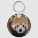 Pesquisar por urso panda chaveiros Vermelho