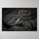 Pesquisar por olhos de cobra pôsteres pósteres Para todos
