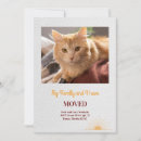 Pesquisar por família de gato Qualquer pessoa