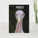 Pesquisar por galinha louca cartoes Engraçado