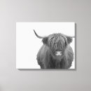 Pesquisar por cow impressão de canvas Vaca