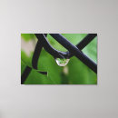Pesquisar por vento impressão de canvas Chuva