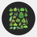 Pesquisar por biologia adesivos Natureza
