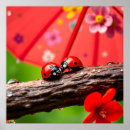 Pesquisar por guarda chuva vermelho pôsteres pósteres Flores