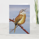 Pesquisar por aves canoras cartoes Cardinal