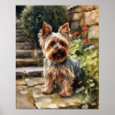 Pesquisar por yorkshire terrier dog pôsteres pósteres Para todos