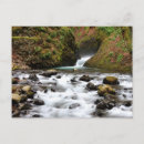 Pesquisar por véu nupcial Cachoeira