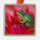 Pesquisar por rã ornamentos Darrell gulin