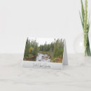 Pesquisar por evergreens cartoes Natureza