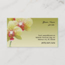 Pesquisar por orquídeas amarelas cartao de visita Amarelo