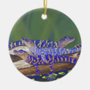 Pesquisar por jacaré para ornamentos Crocodilo