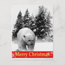 Pesquisar por christmas tree cartoes postais Forest