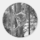 Pesquisar por costas imas Animal