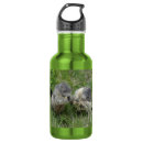 Pesquisar por moto garrafa agua Fofofo