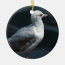Pesquisar por gaivotas ornamentos Fotografia