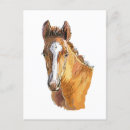Pesquisar por cavalo de madeira cartoes postais Animal