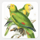 Pesquisar por amazonas adesivos Qualquer pessoa