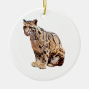 Pesquisar por gato grande ornamentos Selva