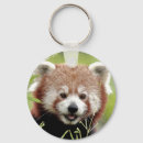 Pesquisar por cute panda acessorios Kawaii